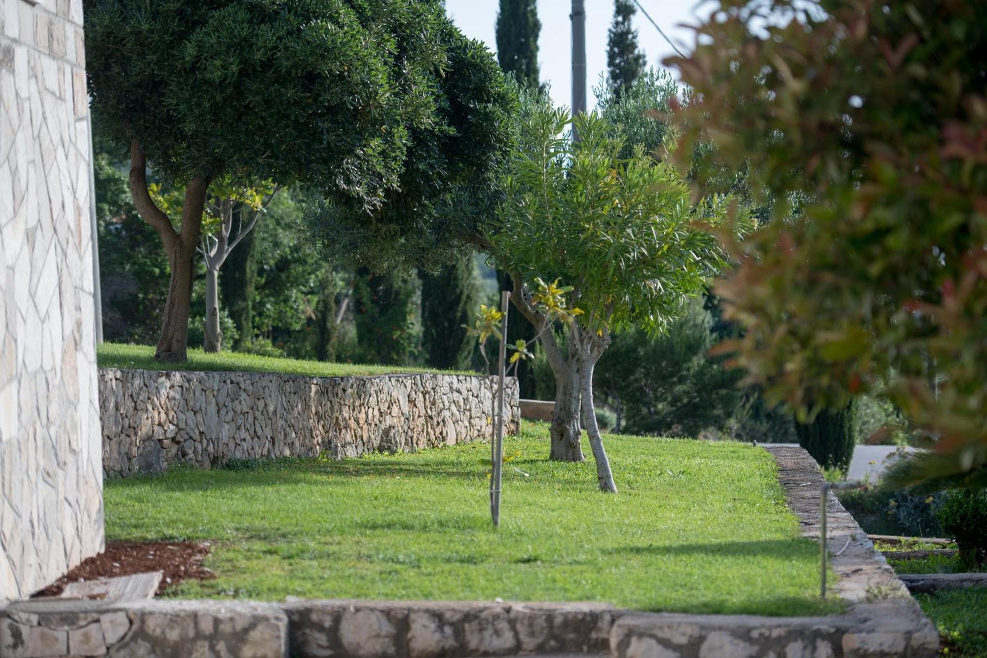 Apartments Mi&Ni Cavtat Oda fotoğraf